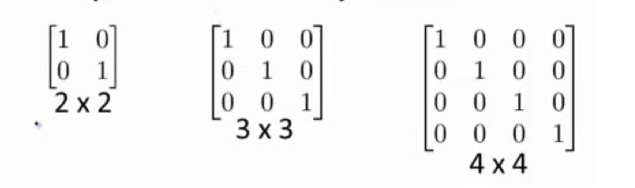 image-20250303154938453